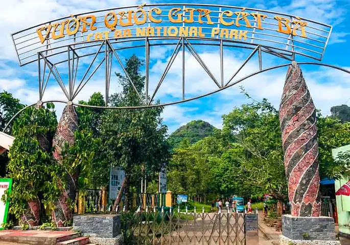 Tổng Hợp Kinh Nghiệm Đi Vườn Quốc Gia Cát Bà Tự Túc: Trekking, Giá Vé & Lịch Trình