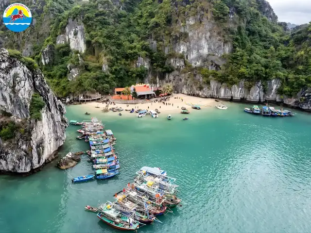 Tổng Hợp Kinh Nghiệm Du Lịch Cát Bà 1 Ngày: Lịch Trình Tự Túc, Đi Tour Và Mẹo Tiết Kiệm