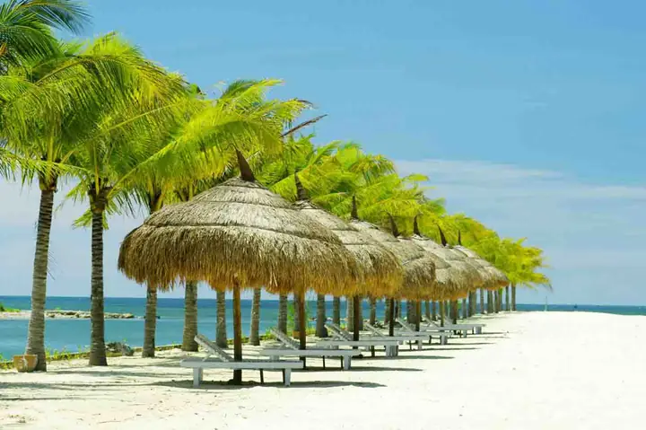 Tổng Hợp Kinh Nghiệm Du Lịch Nha Trang Tự Túc Giá Rẻ Cho Người Lần Đầu