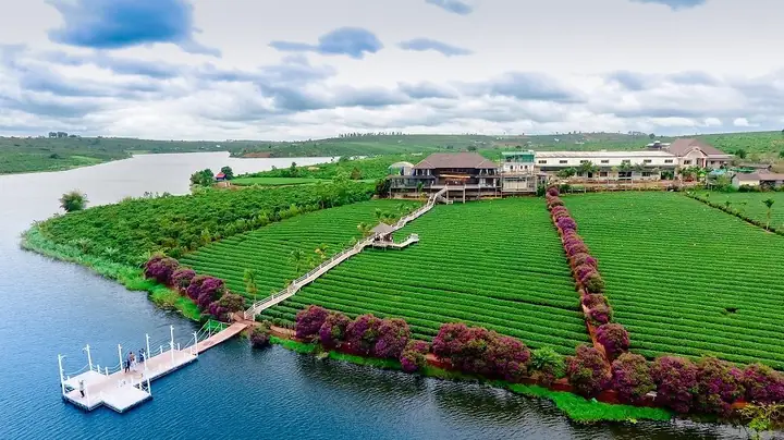 Lâm Hà Lâm Đồng Có Gì Chơi? Hướng Dẫn Chi Tiết Các Điểm Tham Quan, Hoạt Động Và Trải Nghiệm