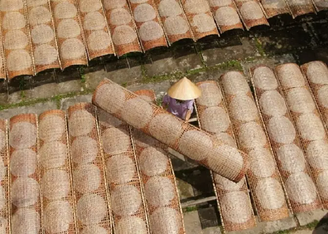Khám Phá Làng Nghề Bánh Tráng Tây Ninh: Lịch Sử, Quy Trình Làm Và Trải Nghiệm Du Lịch