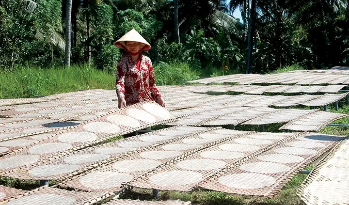 Khám Phá Làng Nghề Truyền Thống Bánh Phồng Sơn Đốc: Đặc Sản Bến Tre Hơn 100 Năm Tuổi