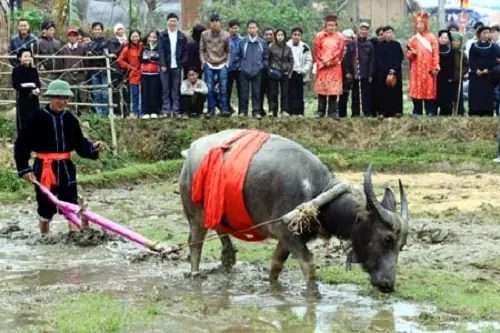 Tìm Hiểu Lễ Hội Lồng Tồng Của Người Tày: Nguồn Gốc, Ý Nghĩa Và Nét Đẹp Lễ Xuống Đồng