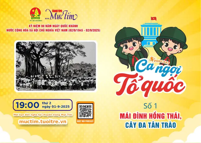 Tìm Hiểu Mái Đình Hồng Thái Và Cây Đa Tân Trào: Lịch Sử, Vị Trí Và Hiện Trạng Di Tích
