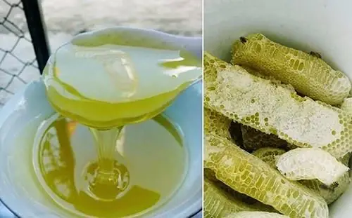 Giải Đáp: Mật Ong Bạc Hà Có Tác Dụng Gì Cho Sức Khỏe Từ Đặc Sản Hà Giang