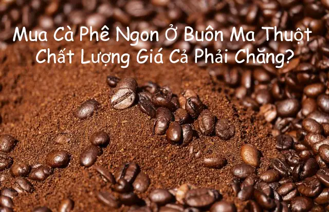 Tổng Hợp Nơi Mua Cà Phê Ngon Ở Buôn Ma Thuột Cho Du Khách Và Dân Địa Phương Tổng Hợp Nơi Mua Cà Phê Ngon Ở Buôn Ma Thuột Cho Du Khách Và Dân Địa Phương