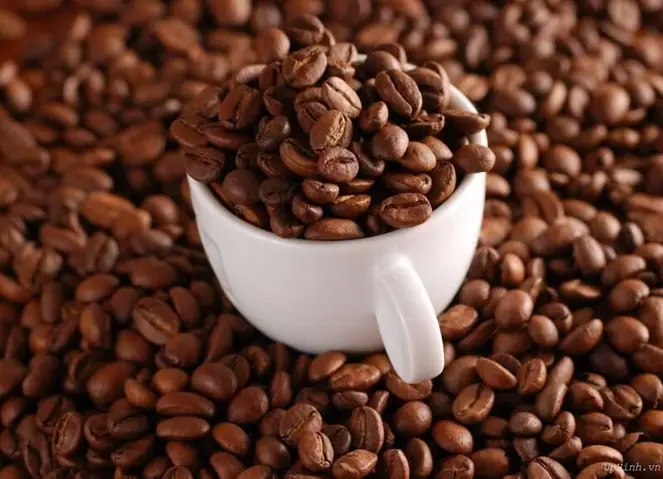 Tổng Hợp Nơi Mua Cà Phê Ngon Ở Buôn Ma Thuột Cho Du Khách Và Dân Địa Phương Tổng Hợp Nơi Mua Cà Phê Ngon Ở Buôn Ma Thuột Cho Du Khách Và Dân Địa Phương