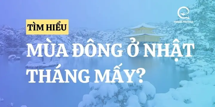 Mùa Đông Ở Nhật Bản Bắt Đầu Từ Tháng Mấy? Thời Gian, Nhiệt Độ Và Điểm Đến Hấp Dẫn