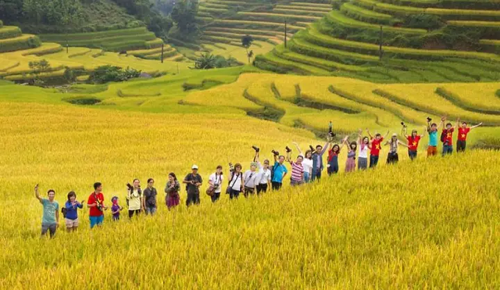 Tìm Hiểu Mùa Lúa Chín Ở Hà Giang Là Tháng Mấy Và Trải Nghiệm Mùa Vàng Tại Cao Nguyên Đá Tìm Hiểu Mùa Lúa Chín Ở Hà Giang Là Tháng Mấy Và Trải Nghiệm Mùa Vàng Tại Cao Nguyên Đá