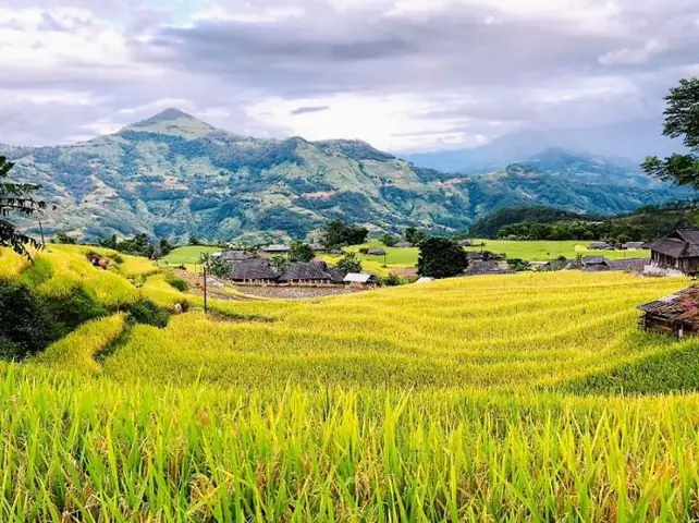 Tìm Hiểu Mùa Lúa Chín Ở Hà Giang Là Tháng Mấy Và Trải Nghiệm Mùa Vàng Tại Cao Nguyên Đá Tìm Hiểu Mùa Lúa Chín Ở Hà Giang Là Tháng Mấy Và Trải Nghiệm Mùa Vàng Tại Cao Nguyên Đá