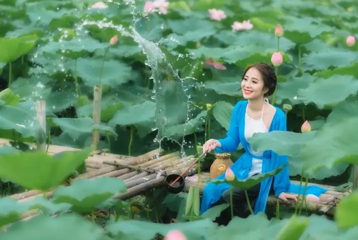 Khám Phá Mùa Sen Nở Đồng Tháp Mười: Thời Gian Và Những Địa Điểm Ngắm Sen Đẹp Nhất