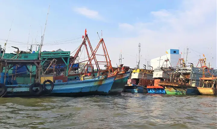 Giải Thích Vì Sao Ngư Trường Cà Mau – Kiên Giang Là Một Trong Những Ngư Trường Lớn Nhất Nước Ta