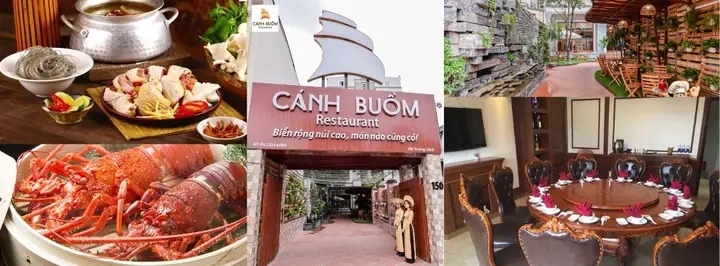 Địa Chỉ, Thực Đơn Và Cách Đặt Chỗ Nhà Hàng Cánh Buồm Lê Ngô Cát – Hướng Dẫn Chi Tiết Cho Thực Khách