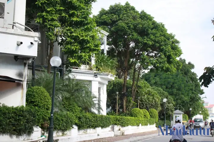 Tổng Hợp Nhà Hàng Gần Công Viên Nước Hồ Tây: Địa Điểm Ăn Uống Tiện Lợi Cho Du Khách Tổng Hợp Nhà Hàng Gần Công Viên Nước Hồ Tây: Địa Điểm Ăn Uống Tiện Lợi Cho Du Khách