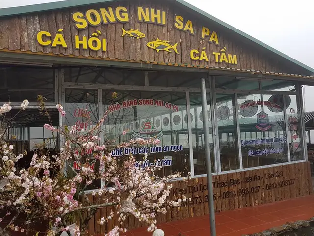 Nhà Hàng Song Nhi Thác Bạc Sapa: Địa Chỉ, Menu Cá Hồi, Giá Cả Và Cách Đặt Chỗ