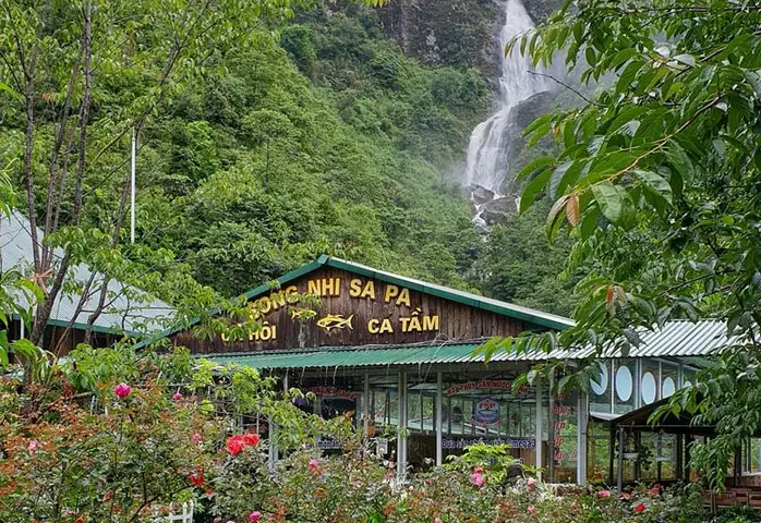 Nhà Hàng Song Nhi Thác Bạc Sapa: Địa Chỉ, Menu Cá Hồi, Giá Cả Và Cách Đặt Chỗ