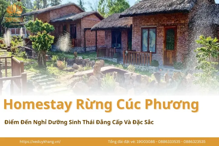Gợi Ý Nhà Nghỉ Trong Rừng Cúc Phương Cho Chuyến Đi Nghỉ Dưỡng Giữa Thiên Nhiên