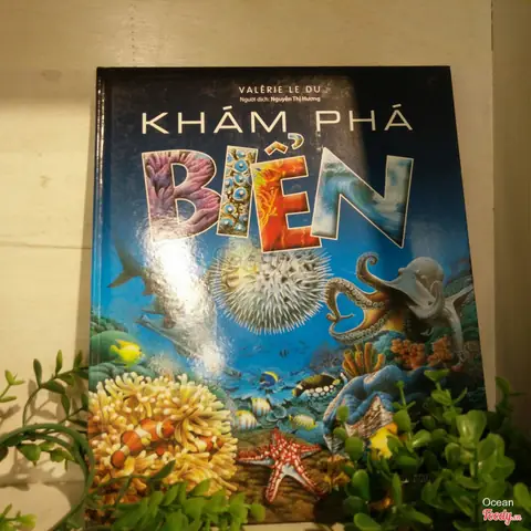 Nhà Sách Kim Đồng 69 Văn Cao – Địa Chỉ, Giờ Mở Cửa Và Các Dịch Vụ Nổi Bật