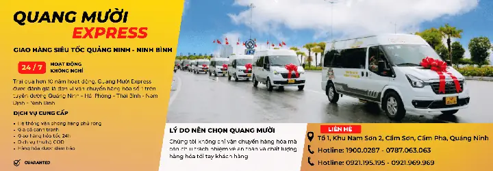 Tổng Hợp Thông Tin Nhà Xe Quang Mười Tuyến Quảng Ninh – Ninh Bình: Lịch Trình, Giá Vé Và Hotline