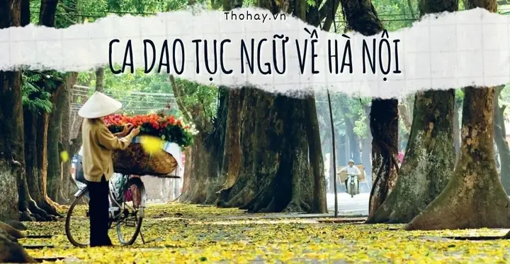 Tuyển Tập Những Câu Thơ Về Hồ Gươm Và Cảm Hứng Thi Ca Từ Danh Thắng Hà Nội