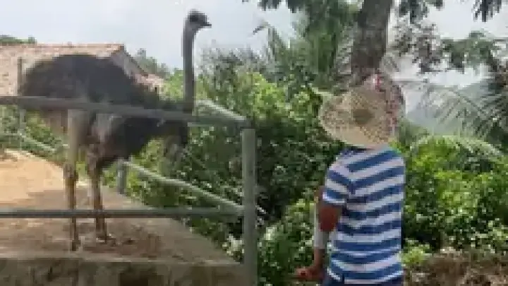 Những Điều Cần Lưu Ý Khi Đi Sở Thú Cùng Gia Đình Có Trẻ Nhỏ