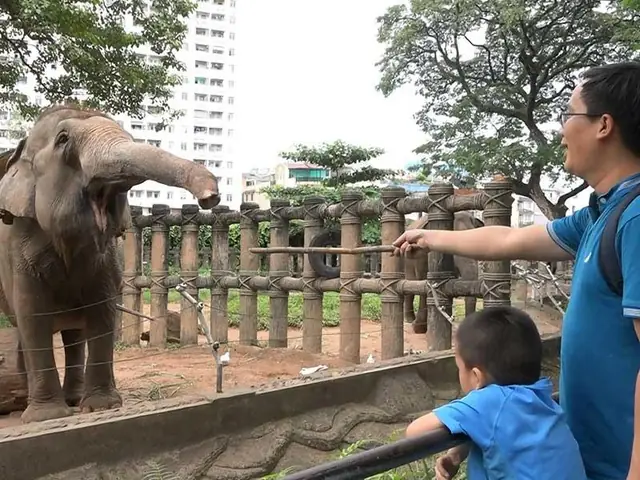 Những Điều Cần Lưu Ý Khi Đi Sở Thú Cùng Gia Đình Có Trẻ Nhỏ Những Điều Cần Lưu Ý Khi Đi Sở Thú Cùng Gia Đình Có Trẻ Nhỏ