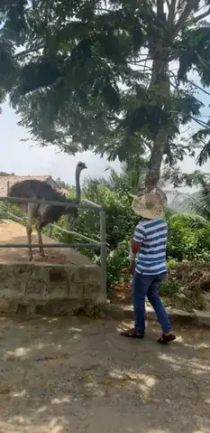 Những Điều Cần Lưu Ý Khi Đi Sở Thú Cùng Gia Đình Có Trẻ Nhỏ Những Điều Cần Lưu Ý Khi Đi Sở Thú Cùng Gia Đình Có Trẻ Nhỏ