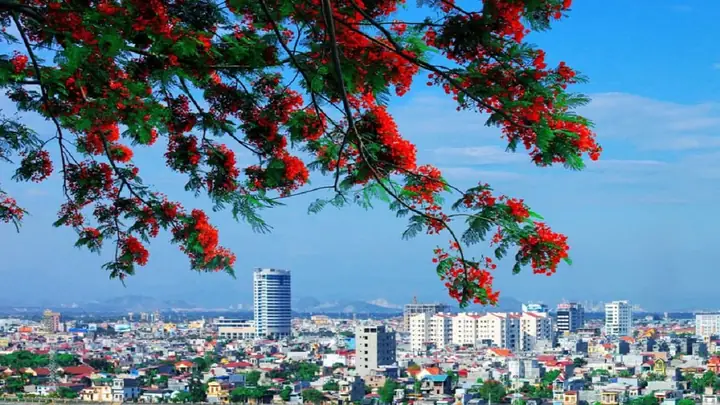 Tổng Hợp Những Hình Ảnh Đẹp Về Thành Phố Hải Phòng: Biển Đảo, Phố Đêm Và Hoa Phượng Đỏ Tổng Hợp Những Hình Ảnh Đẹp Về Thành Phố Hải Phòng: Biển Đảo, Phố Đêm Và Hoa Phượng Đỏ