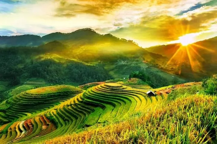 Chiêm Ngưỡng Những Hình Ảnh Đẹp Về Thiên Nhiên Việt Nam Qua Các Điểm Đến Nổi Bật