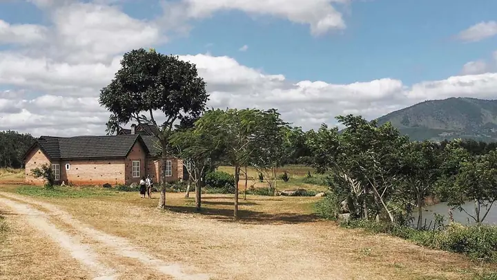Hướng Dẫn Chi Tiết Khám Phá Nông Trại Bò Sữa Đà Lạt (dalat Milk Farm) – Lộ Trình, Điểm Check‑in Và Mẹo Du Lịch
