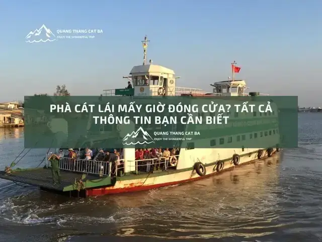 Phà Cát Lái Có Chạy Vào Tết Không? Lịch Hoạt Động, Giờ Mở Cửa Và Lưu Ý Quan Trọng