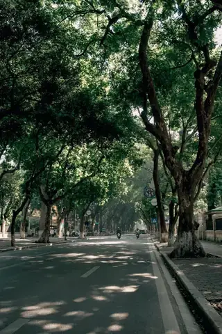 Giải Đáp: Phố Phan Đình Phùng Hà Nội Thuộc Phường Nào Và Phân Bổ Địa Phận
