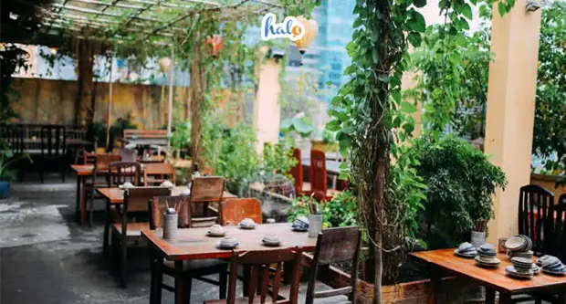 Tổng Hợp Quán Ăn Sân Vườn Quận 1 Rộng Thoáng, Ngon Và Nổi Tiếng Cho Người Yêu Không Gian Xanh