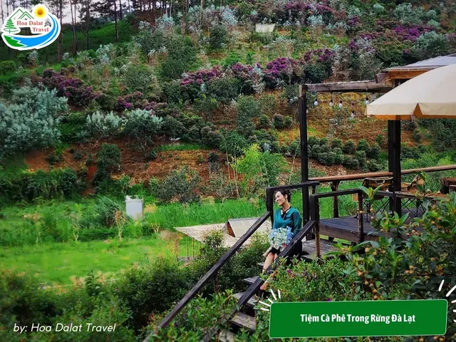 Khám Phá Quán Cà Phê Đẹp Ở Trung Tâm Đà Lạt: Top Địa Điểm Sống Ảo Gần Trung Tâm
