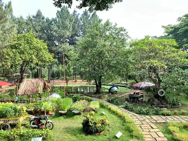 Top Quán Cà Phê Ở Bình Dương Đẹp Và Sống Ảo Nhất Cho Người Đi Trốn Phố Thị