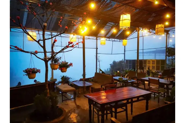 Khám Phá Quán Cafe Gâu Garden Đà Lạt – Địa Chỉ, Giờ Mở Cửa Và Trải Nghiệm View Cún Cưng Thung Lũng