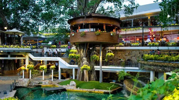 Gợi Ý Các Quán Cafe Sân Vườn Yên Tĩnh Tại Hà Nội, Tp.hcm Và Đà Nẵng Cho Người Tìm Không Gian Thư Giãn