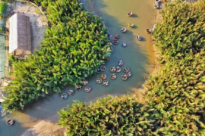 Hướng Dẫn Chi Tiết Khám Phá Rừng Dừa Bảy Mẫu (cẩm Thanh) – Vé, Hoạt Động, Lưu Ý Du Lịch