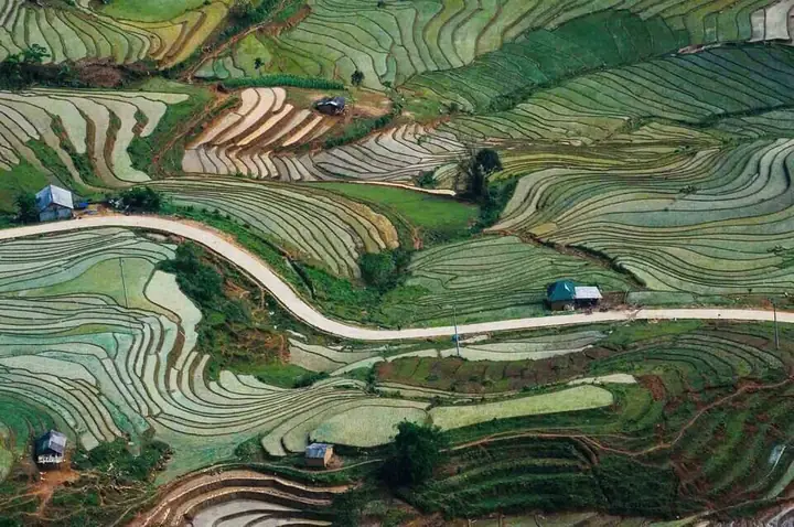 Khám Phá Ruộng Bậc Thang Ở Tây Bắc – Kỳ Quan Đất Nước Và Kinh Nghiệm Ngắm Cảnh