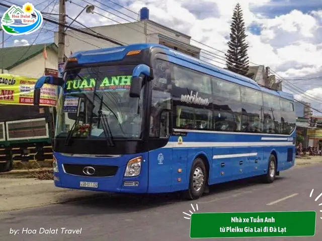 Tổng Hợp Số Điện Thoại Xe Khách Gia Lai Đi Đà Lạt Và Danh Sách Nhà Xe Uy Tín Tổng Hợp Số Điện Thoại Xe Khách Gia Lai Đi Đà Lạt Và Danh Sách Nhà Xe Uy Tín