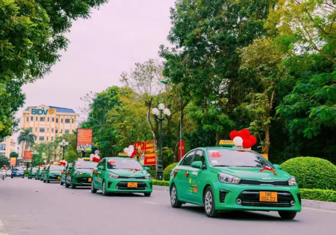 Tìm Số Điện Thoại Taxi Mai Linh Nam Định: Hotline Địa Phương Và Tổng Đài Toàn Quốc