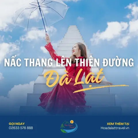 Review Sunny Farm Đà Lạt – Nấc Thang Lên Thiên Đường: Đường Đi, Giá Vé Và Trải Nghiệm Check-in Cho Du Khách