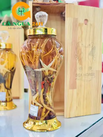 Tác Dụng Của Cá Ngựa Ngâm Rượu: Công Dụng, Cách Pha Chế Và Lưu Ý Dùng Cho Người Muốn Cải Thiện Sức Khỏe Sinh Lý