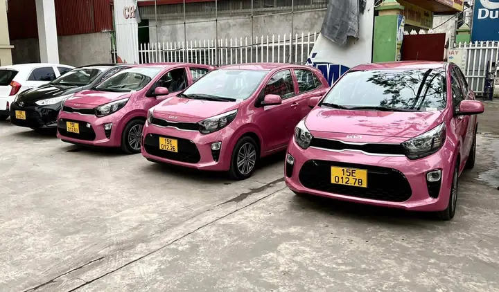 Cập Nhật Tuyển Dụng Taxi Hoàng Anh Hải Phòng: Vị Trí, Yêu Cầu Và Cách Ứng Tuyển