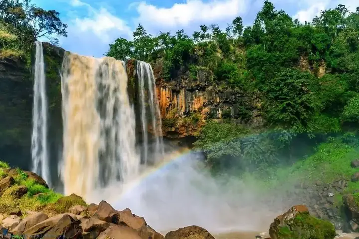 Khám Phá Thác Phú Cường Ở Gia Lai: Vị Trí, Vẻ Đẹp Và Kinh Nghiệm Ghé Thăm