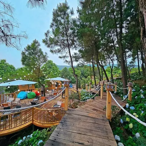 Thác Tiên Bắc Giang Ở Đâu Và Hướng Dẫn Di Chuyển Đến Khu Du Lịch Tại Song Mai