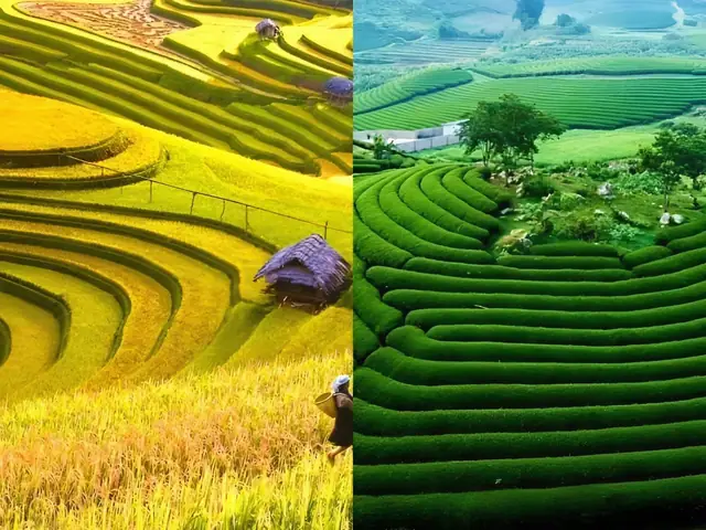 Tìm Hiểu Khoảng Cách Thái Nguyên – Mộc Châu Bao Nhiêu Km Và Gợi Ý Cung Đường Di Chuyển