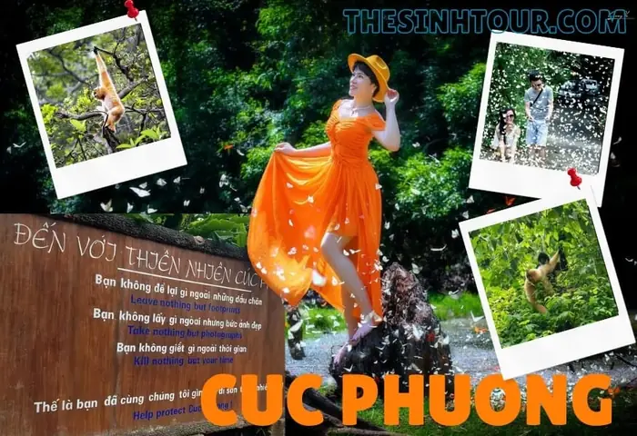Hướng Dẫn Tham Quan Vườn Quốc Gia Cúc Phương (rừng Cúc Phương) Cho Du Khách: Giá Vé, Thời Gian Và Chuẩn Bị Hướng Dẫn Tham Quan Vườn Quốc Gia Cúc Phương (rừng Cúc Phương) Cho Du Khách: Giá Vé, Thời Gian Và Chuẩn Bị