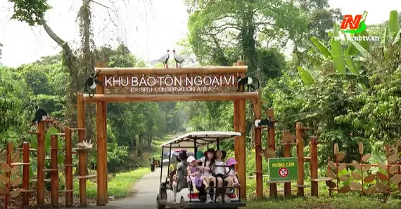 Hướng Dẫn Tham Quan Vườn Quốc Gia Cúc Phương (rừng Cúc Phương) Cho Du Khách: Giá Vé, Thời Gian Và Chuẩn Bị Hướng Dẫn Tham Quan Vườn Quốc Gia Cúc Phương (rừng Cúc Phương) Cho Du Khách: Giá Vé, Thời Gian Và Chuẩn Bị