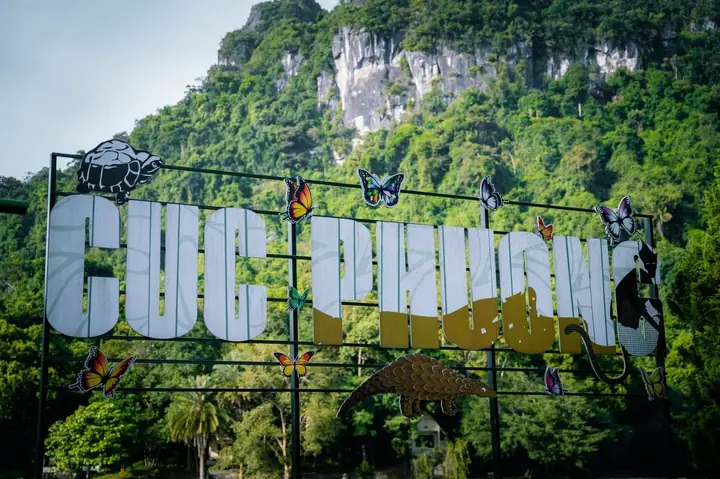 Hướng Dẫn Tham Quan Vườn Quốc Gia Cúc Phương (rừng Cúc Phương) Cho Du Khách: Giá Vé, Thời Gian Và Chuẩn Bị Hướng Dẫn Tham Quan Vườn Quốc Gia Cúc Phương (rừng Cúc Phương) Cho Du Khách: Giá Vé, Thời Gian Và Chuẩn Bị